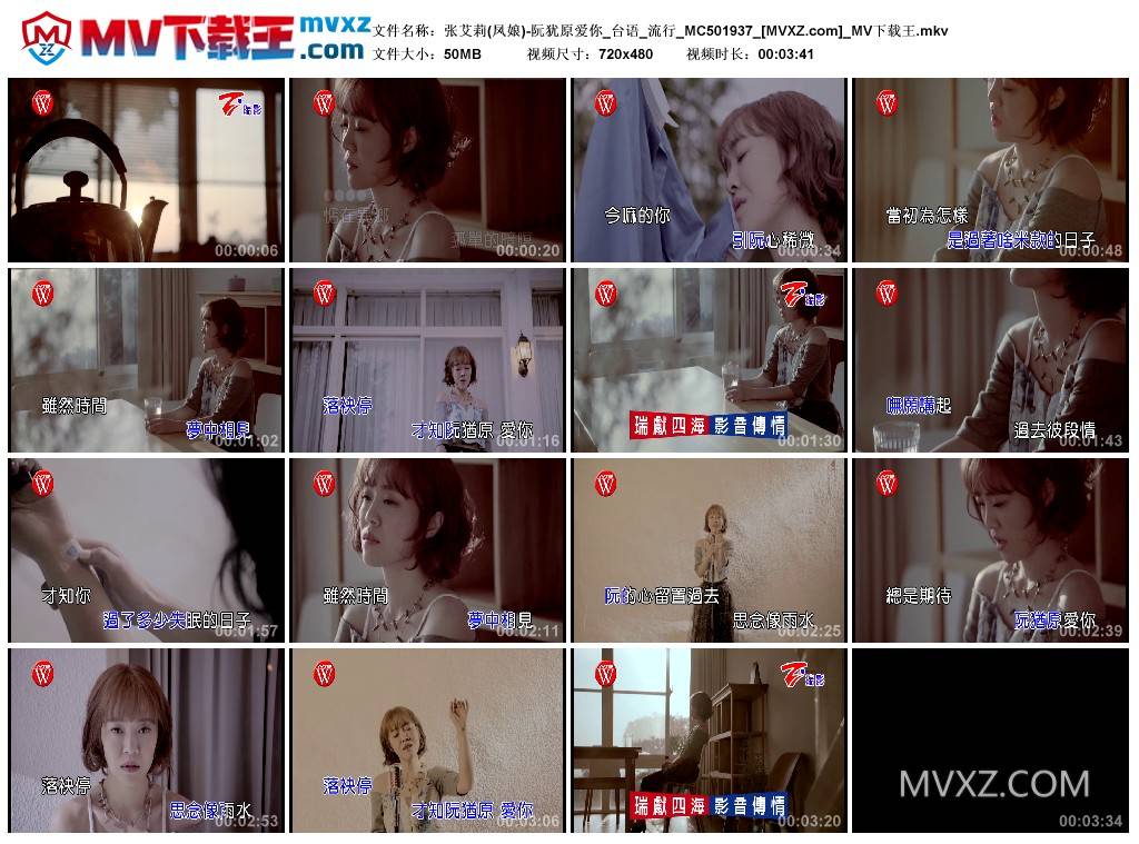 张艾莉(凤娘)-阮犹原爱你_台语_流行_MC501937